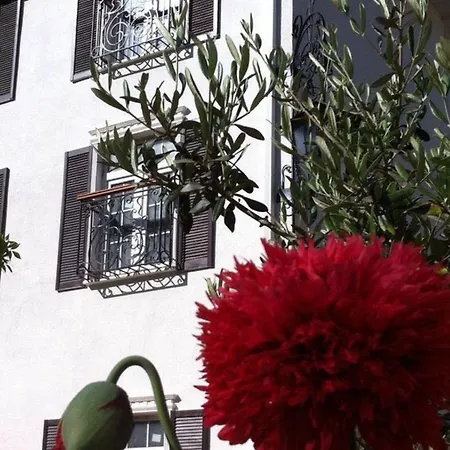 Riverangel - Adults Only 3* Ağva