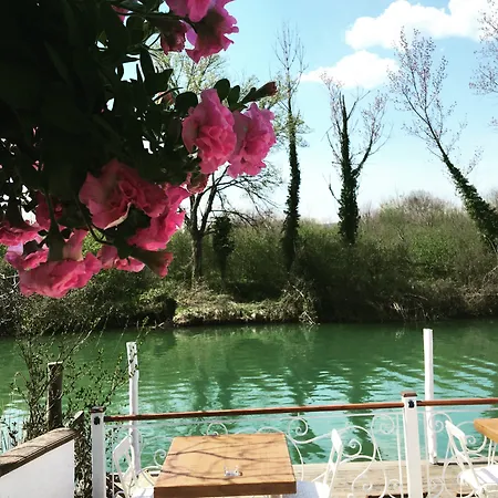 Riverangel - Adults Only