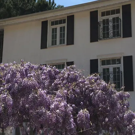 Riverangel - Adults Only Szálloda 3*