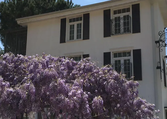 Riverangel - Adults Only 酒店 3*